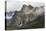 USA, California, Yosemite, Bridalveil Falls-John Ford-Premier Image Canvas