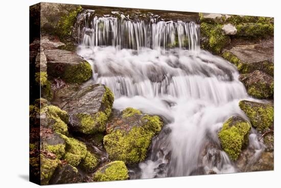 USA, California, Yosemite, Small Falls-John Ford-Premier Image Canvas