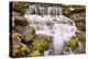 USA, California, Yosemite, Small Falls-John Ford-Premier Image Canvas