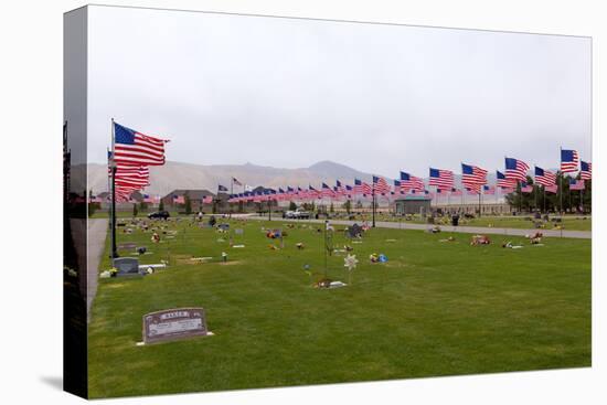 USA, Cemetery, Memorial-Day, Flags-Catharina Lux-Premier Image Canvas