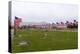 USA, Cemetery, Memorial-Day, Flags-Catharina Lux-Premier Image Canvas