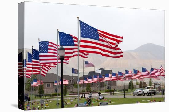 USA, Cemetery, Memorial-Day, Flags-Catharina Lux-Premier Image Canvas