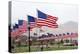 USA, Cemetery, Memorial-Day, Flags-Catharina Lux-Premier Image Canvas