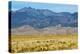 USA, Colorado, Alamosa, Great Sand Dunes National Park and Preserve-Bernard Friel-Premier Image Canvas