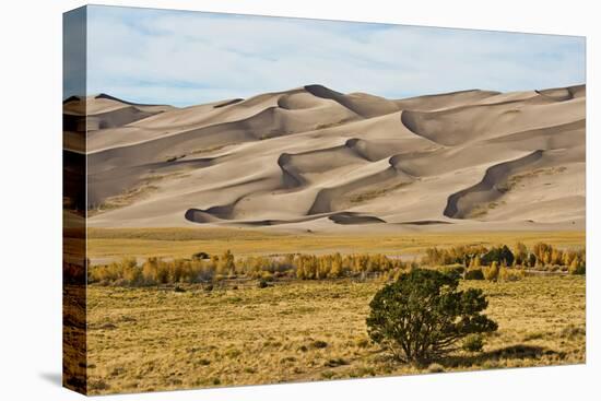 USA, Colorado, Alamosa, Great Sand Dunes National Park and Preserve-Bernard Friel-Premier Image Canvas