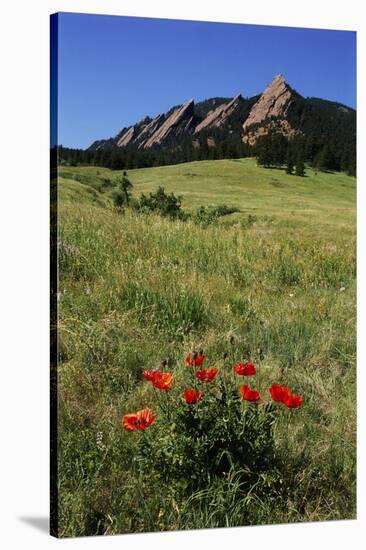 USA, Colorado, Boulder. Flatirons and Poppies at Chautauqua Park-Jaynes Gallery-Premier Image Canvas