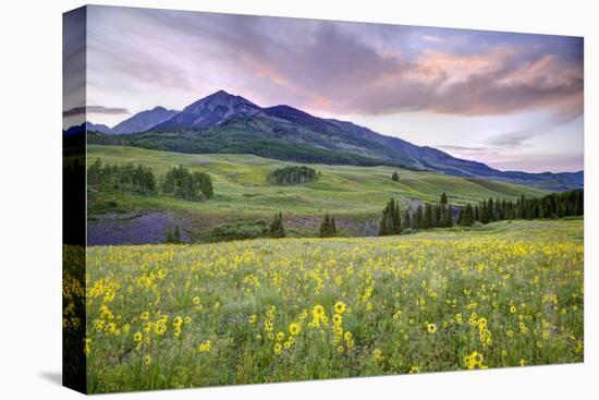 USA, Colorado, Crested Butte. Landscape of wildflowers and mountain.-Dennis Flaherty-Premier Image Canvas