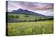 USA, Colorado, Crested Butte. Landscape of wildflowers and mountain.-Dennis Flaherty-Premier Image Canvas