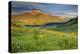 USA, Colorado, Crested Butte. Landscape of wildflowers and mountain.-Dennis Flaherty-Premier Image Canvas