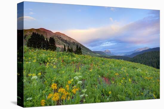 USA, Colorado, Crested Butte. Landscape of wildflowers and mountains.-Dennis Flaherty-Premier Image Canvas