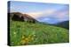 USA, Colorado, Crested Butte. Landscape of wildflowers and mountains.-Dennis Flaherty-Premier Image Canvas