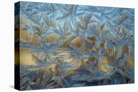 USA, Colorado, Denver. Frost on a Window-Cathy & Gordon Illg-Premier Image Canvas