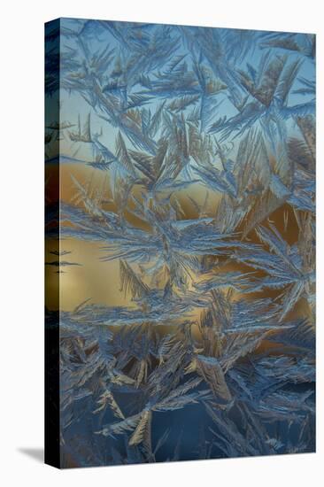 USA, Colorado, Denver. Frost on a Window-Cathy & Gordon Illg-Premier Image Canvas