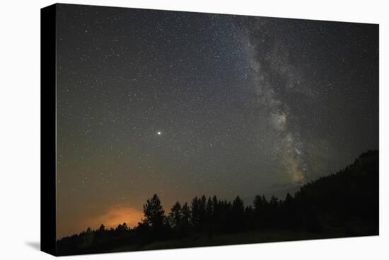 USA, Colorado, Eleven Mile Canyon. The Milky Way galaxy and forest silhouette at night.-Jaynes Gallery-Premier Image Canvas