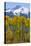 USA, Colorado. Fall Aspens and Mountain-Jaynes Gallery-Premier Image Canvas