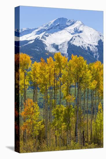 USA, Colorado. Fall Aspens and Mountain-Jaynes Gallery-Premier Image Canvas