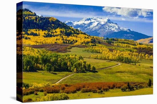 USA, Colorado, fall colors, vista-George Theodore-Premier Image Canvas