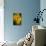 USA, Colorado, Fort Collins. Yellow coreopsis flowers.-Jaynes Gallery-Premier Image Canvas displayed on a wall