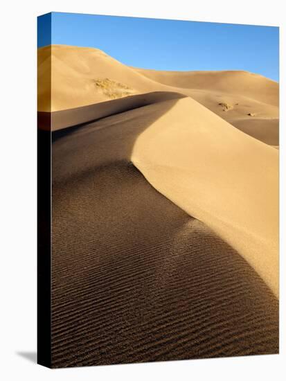USA, Colorado, Great Sand Dunes National Park and Preserve. Dunes in Morning Light-Ann Collins-Premier Image Canvas