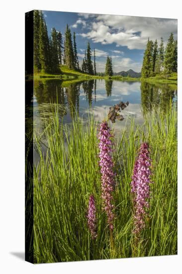 USA, Colorado, Gunnison National Forest. Paradise Divide and Pond Reflection-Jaynes Gallery-Premier Image Canvas