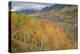 USA, Colorado, Gunnison NF. Aspen Grove at Peak Autumn Color-Don Grall-Premier Image Canvas