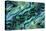 USA, Colorado, Lafayette. Abalone Shell Montage-Jaynes Gallery-Premier Image Canvas