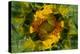 USA, Colorado, Lafayette. Sunflower Montage-Jaynes Gallery-Premier Image Canvas