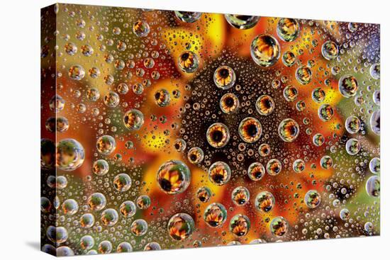USA, Colorado, Lafayette. Water Bubbles on Glass Table Top-Jaynes Gallery-Premier Image Canvas