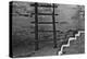 USA, Colorado, Mesa Verde, Long Ladder-John Ford-Premier Image Canvas