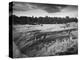 USA, Colorado, Mesa Verde NP. Overview of Cliff Palace Ruins-Dennis Flaherty-Premier Image Canvas