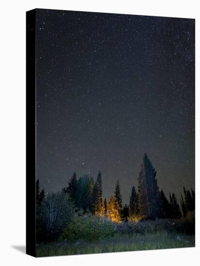 USA, Colorado. Night Sky at Lost Lake Slough-Jaynes Gallery-Premier Image Canvas