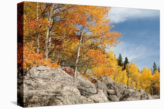 USA, Colorado, Rocky Mountain National Park. Autumn Scenic-Jaynes Gallery-Premier Image Canvas