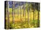 USA, Colorado, Rocky Mountains, Aspen Trees in Autumn in the Rockies-Jaynes Gallery-Premier Image Canvas