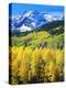 USA, Colorado, Rocky Mountains, Autumn in the Rockies-Jaynes Gallery-Premier Image Canvas