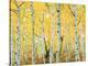 USA, Colorado, Rocky Mountains, Fall Colors of Aspen Trees-Jaynes Gallery-Premier Image Canvas