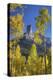 USA, Colorado, San Juan Mountains. Aspen trees frame Chimney Rock formation.-Jaynes Gallery-Premier Image Canvas