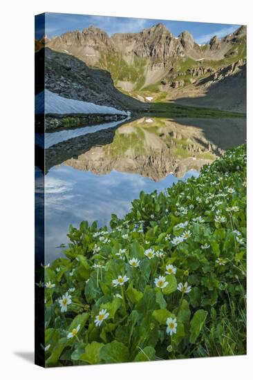 USA, Colorado, San Juan Mountains. Clear Lake Reflection and Marigolds-Jaynes Gallery-Premier Image Canvas