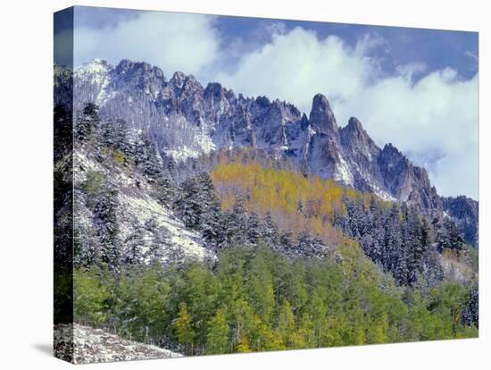 USA, Colorado, Uncompahgre National Forest, Fall Snow on Ophir Needles Above Aspen and Conifers-John Barger-Premier Image Canvas