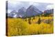 USA, Colorado, White River National Forest, Maroon Bells Snowmass Wilderness-John Barger-Premier Image Canvas