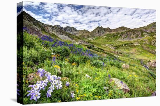 USA, Colorado. Wildflowers in American Basin in the San Juan Mountains-Dennis Flaherty-Premier Image Canvas