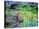 USA, Colorado, Wildflowers in Yankee Boy Basin in the Rocky Mountains-Jaynes Gallery-Premier Image Canvas