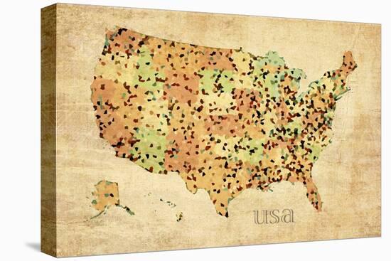 USA Crystallized County Map-David Bowman-Premier Image Canvas