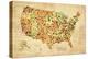 USA Crystallized County Map-David Bowman-Premier Image Canvas