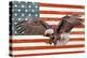 USA Eagle-Kimberly Allen-Stretched Canvas