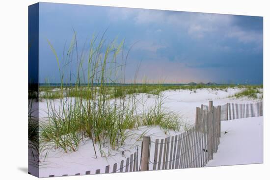 USA, Florida. Dunes and grasses on Santa Rosa island beach.-Anna Miller-Premier Image Canvas