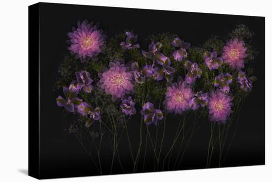 USA, Florida. Floral bounty-Hollice Looney-Premier Image Canvas