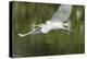 USA, Florida, Orlando. Great Egret at Gatorland.-Jim Engelbrecht-Premier Image Canvas