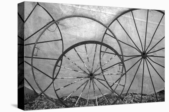 USA, Florida, Plant City, Old Metal Wagon Wheels-Connie Bransilver-Premier Image Canvas