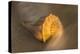 USA, Florida, Sanibel Island. Lightning whelk shell on beach sand.-Jaynes Gallery-Premier Image Canvas