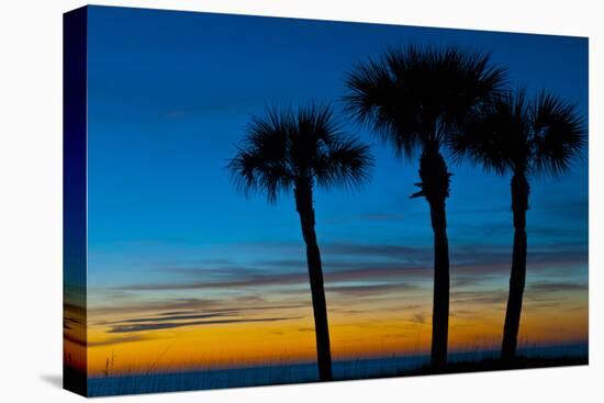 USA, Florida, Sarasota, Crescent Beach, Siesta Key. sunset and palm trees-Bernard Friel-Premier Image Canvas